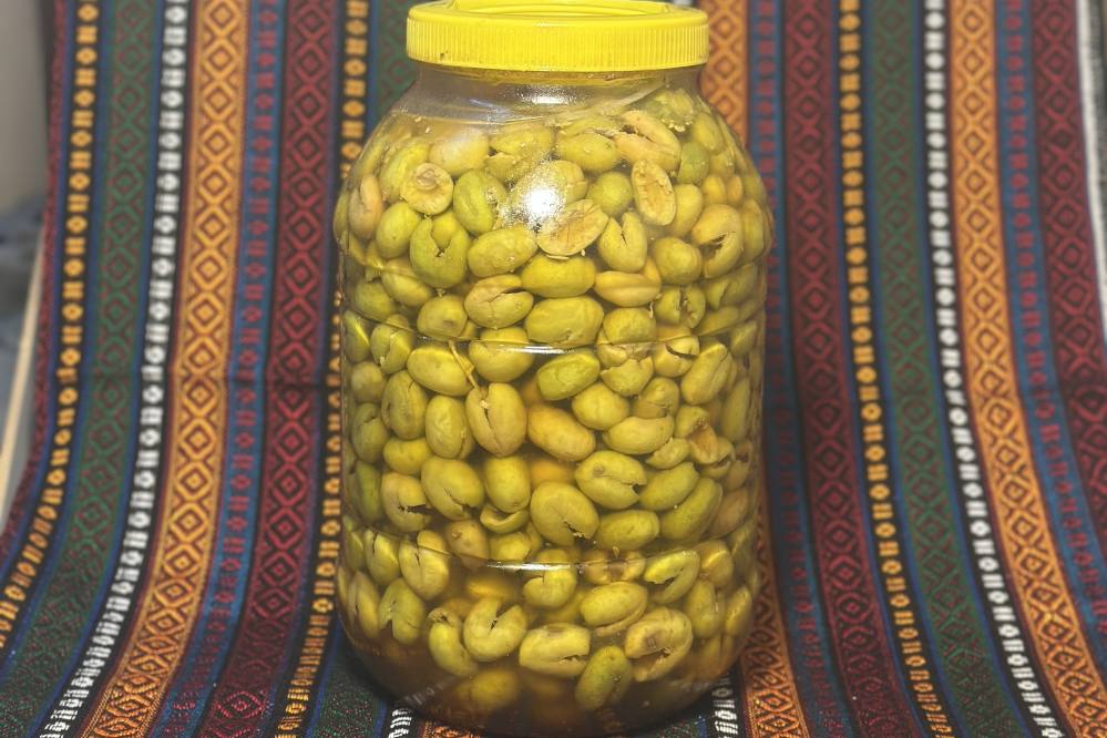 YEŞİL ZEYTİN