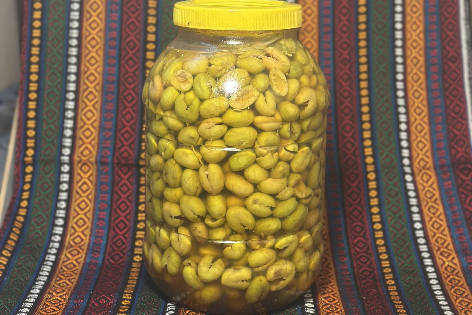 YEŞİL ZEYTİN