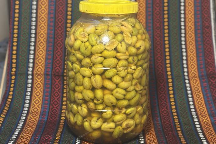 YEŞİL ZEYTİN